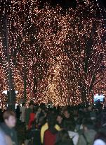 'Lighting pageant' opens in Sendai